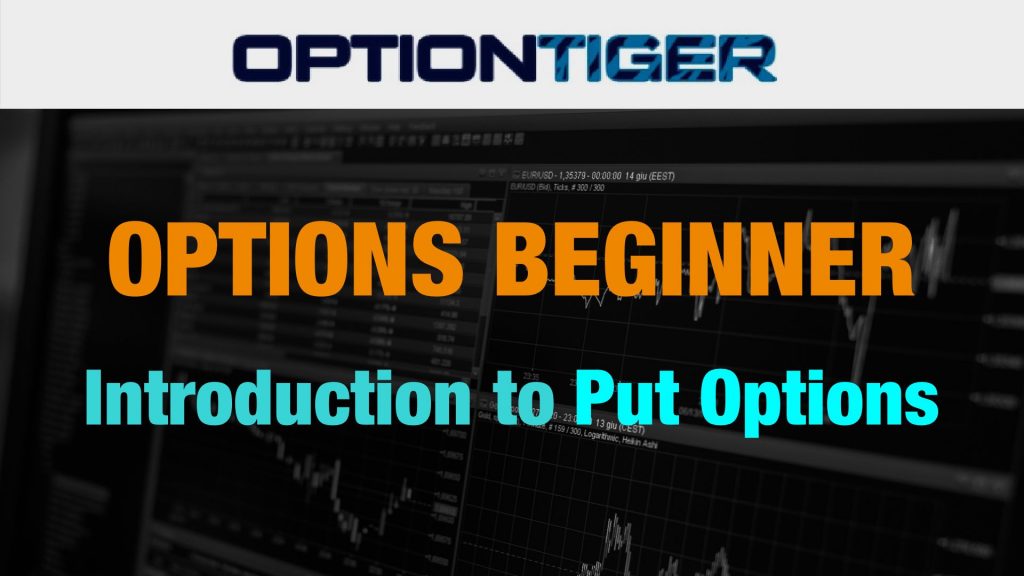 Introduction to Put Options